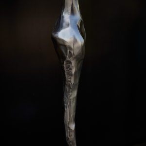 Damien-Rais-sculpture-inox-Sambra-11
